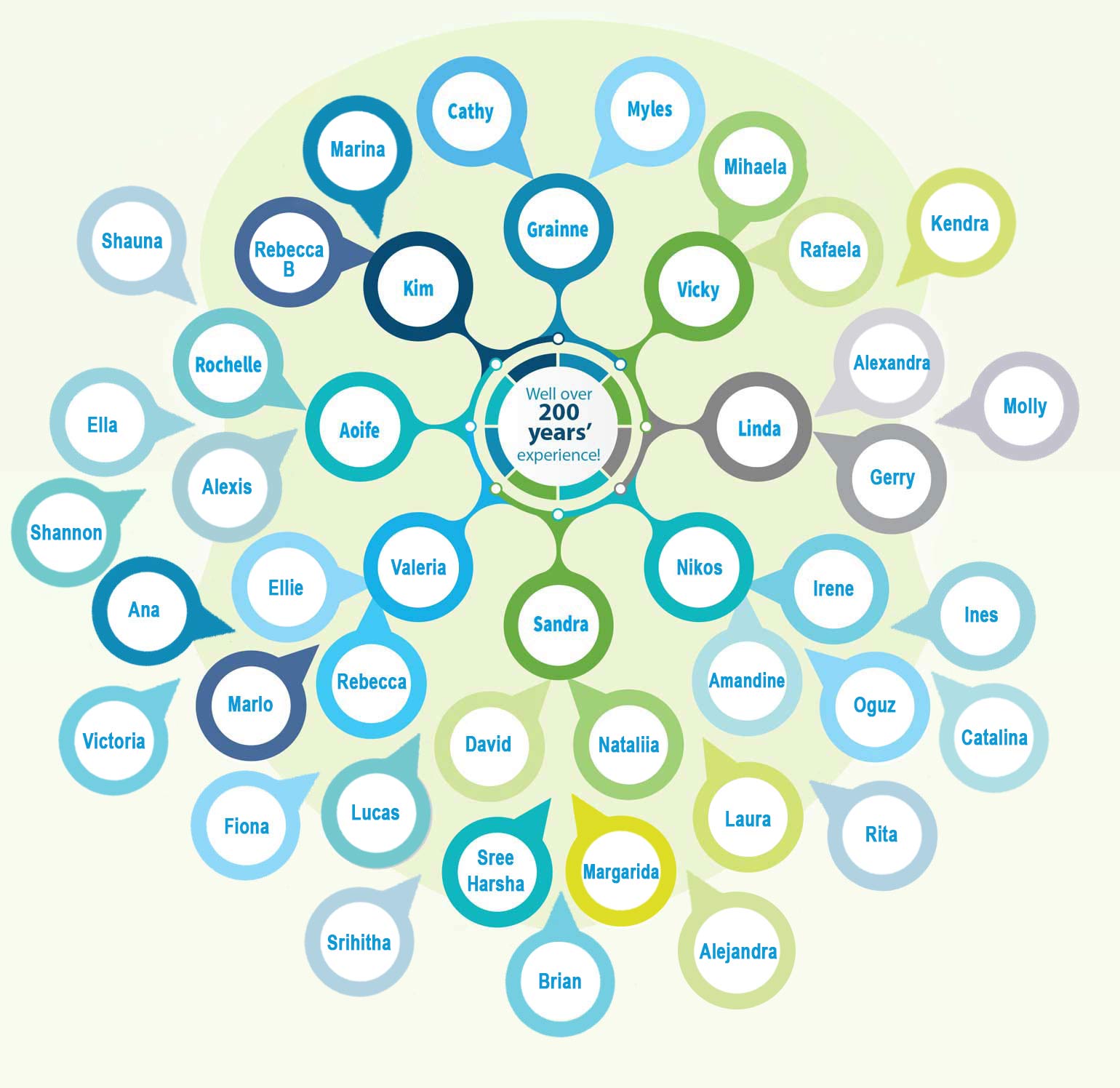 Our Team members graph